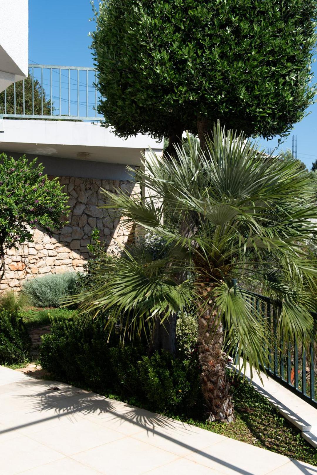 Mirjana Apartment *